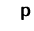 $\quad\mathsfbf{p}$