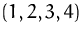 $(1,2,3,4)$
