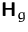 $\mathsfbf{H}_g$