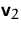 $\mathsfbf{v}_2$