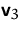$\mathsfbf{v}_3$