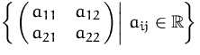 $
 \left\{ \left. \pmatrix{a_{11} & a_{12} \cr a_{21} & a_{22} }
 \right\vert\, a_{ij}\in{\mathbb R}
 \right\}$
