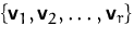 $\{\mathsfbf{v}_1, \mathsfbf{v}_2, \ldots, \mathsfbf{v}_r\}$