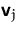 $\mathsfbf{v}_j$