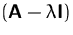 $(\mathsfbf{A}-\lambda\mathsfbf{I})$