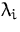 $\lambda_i$