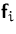 $\mathsfbf{f}_i$