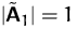 $\vert\tilde\mathsfbf{A}_1\vert = 1$