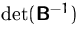 $\det(\mathsfbf{B}^{-1})$