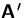$\mathsfbf{A}'$