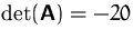 $\det (\mathsfbf{A})=-20$