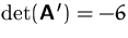 $\det (\mathsfbf{A}')=-6$
